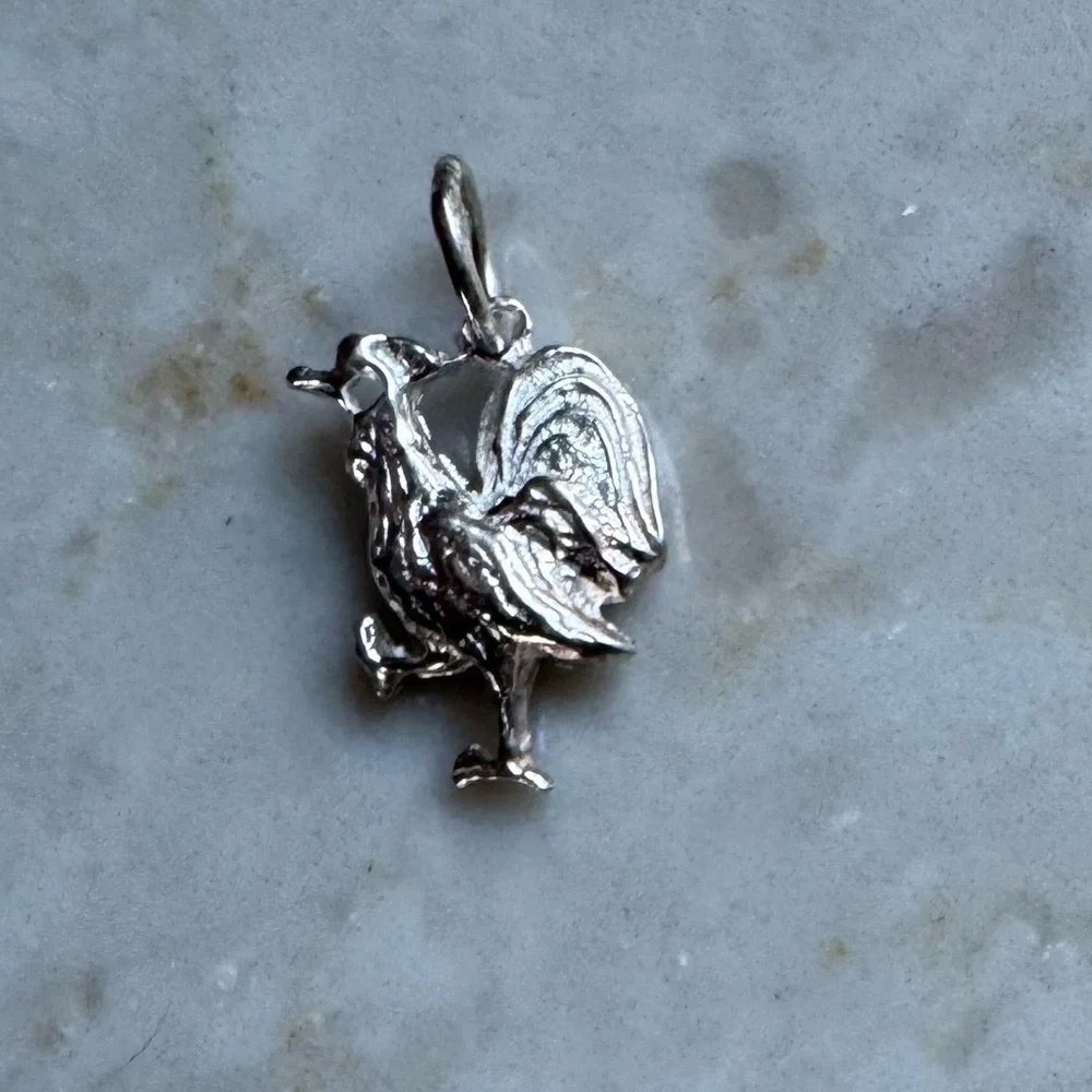 NWOT Sundance Good Morning Pendant, Sterling Silver